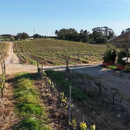 Quinta Moscatel Entre Vinhas