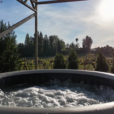 Ferienhaus Quinta Moscatel Entre Vinhas *
